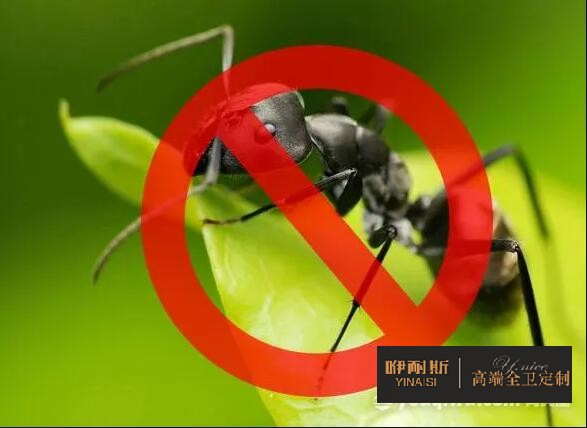 有效防虫蚁 有效防虫蚁